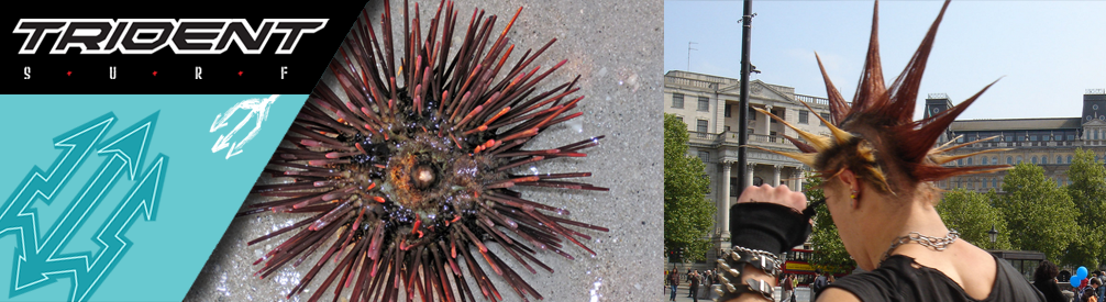 Sea urchins and punks.