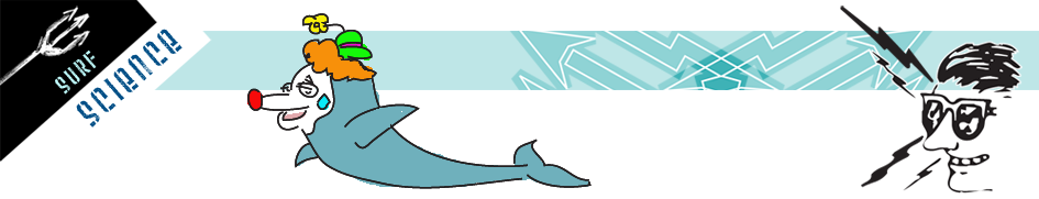 Dolphins.